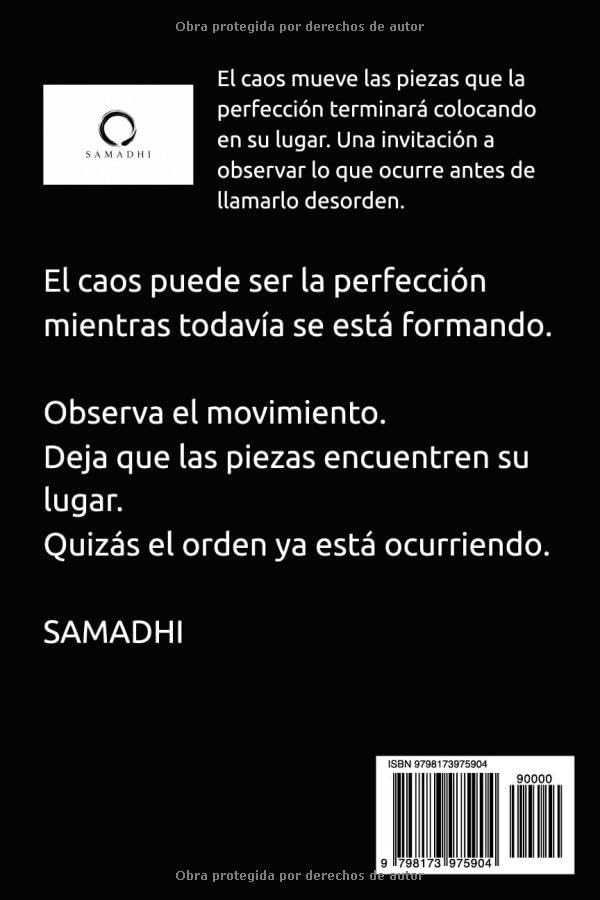 EL CAOS: El orden que todavía no ves (Spanish Edition)